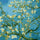 Van Gogh Paint By Numbers