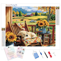Farmhouse Porch Nap Diamond Painting Kit - Full Drill / Square or Round Diamonds with AB Drills Option
