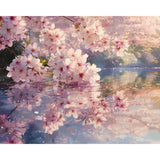 Cherry Blossom Reflections Diamond Art Design - Full Drill with 5d Square or Round Diamonds / AB Drills Available