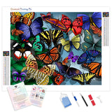Colorful Butterflies | Diamond Painting Kit - Full Drill - Square or Round Diamonds with AB Drills Option