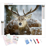 Winter Deer | Diamond Painting Kit - Full Drill - Square or Round Diamonds with AB Drills Option