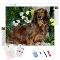 Dachshund Long Hair | Diamond Painting Kit - Full Drill - Square or Round Diamonds with AB Drills Option
