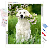 Labrador with Flowers | Diamond Painting Kit - Full Drill - Square or Round Diamonds with AB Drills Option