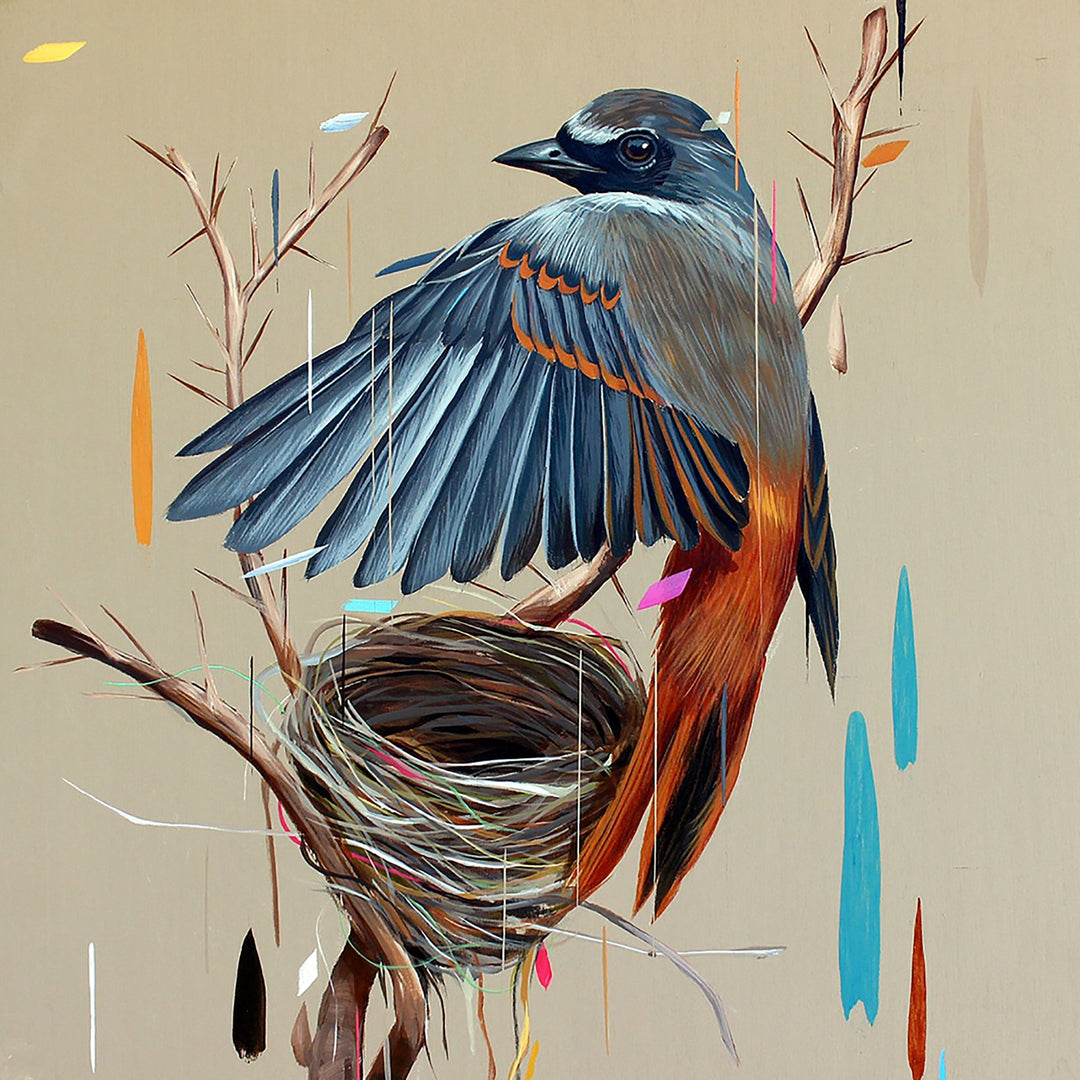 Hummingbird and nest | Diamond Painting