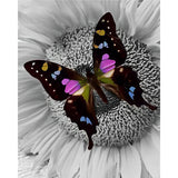 Butterfly on Sunflower | Diamond Painting Design - Full Drill Diamond Art with 5d Square or Round Diamonds - AB Drills Available