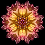 Mystical Flowers | Diamond Painting Design - Full Drill Diamond Art with 5d Square or Round Diamonds - AB Drills Available