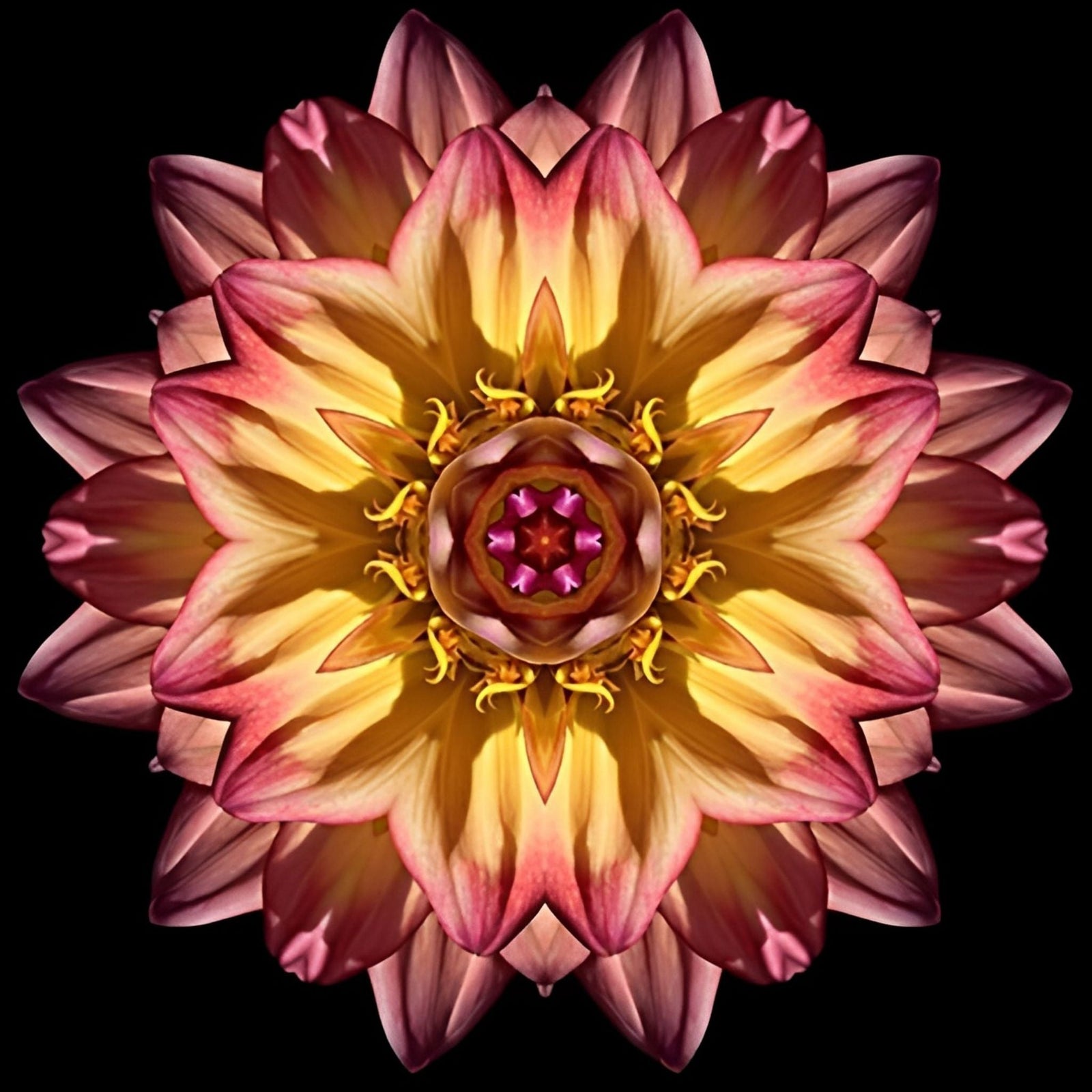 Mystical Flowers | Diamond Painting Design - Full Drill Diamond Art with 5d Square or Round Diamonds - AB Drills Available