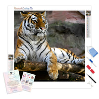 Tiger in Serenity | Diamond Painting Kit - Full Drill - Square or Round Diamonds with AB Drills Option
