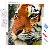 Pensive Tiger | Diamond Painting Kit - Full Drill - Square or Round Diamonds with AB Drills Option