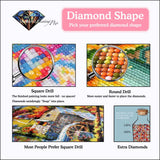 mystery diamond painting kits