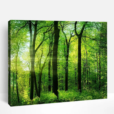 Springtime | Paint By Numbers