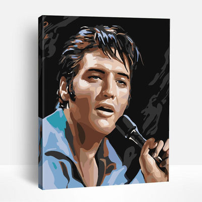 Elvis on Stage | Paint By Numbers