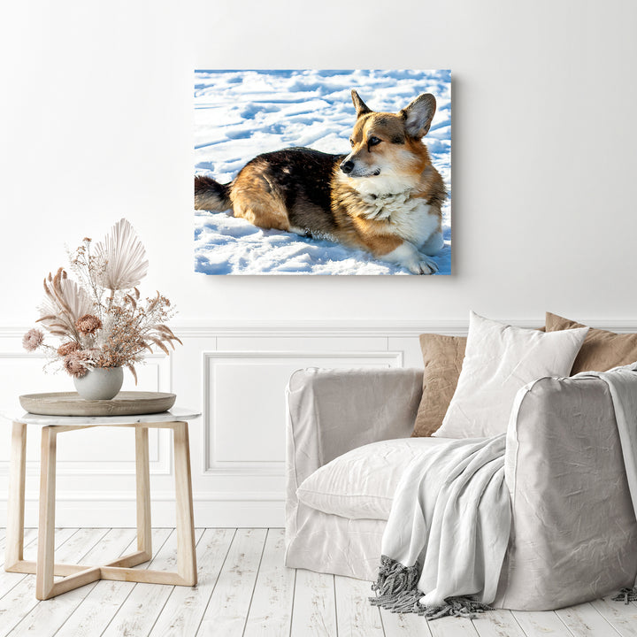 Corgi | Diamond Painting