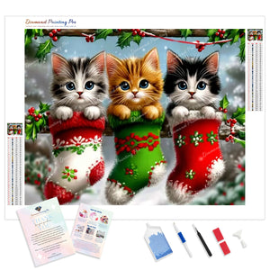 Christmas Stocking Kittens | Diamond Painting