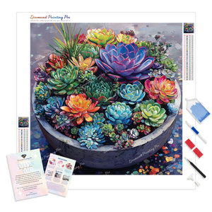 Colorful Succulent Bowl | Diamond Painting