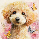 Poodle Portrait Diamond Art Design - Full Drill with 5d Square or Round Diamonds / AB Drills Available