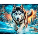 The Arctic Wolf Diamond Art Design - Full Drill with 5d Square or Round Diamonds / AB Drills Available