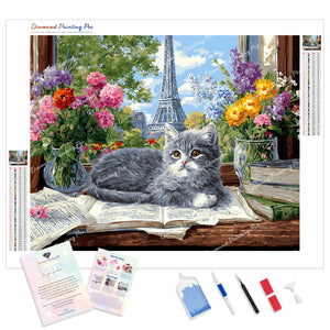 Kitten and Paris Window | Diamond Painting