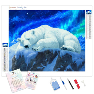 Northern Lights Bear | Diamond Painting