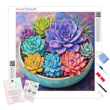 Rainbow Succulent Diamond Painting Kit - Full Drill / Square or Round Diamonds with AB Drills Option