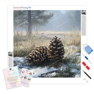 Winter Pine Cones | Diamond Painting