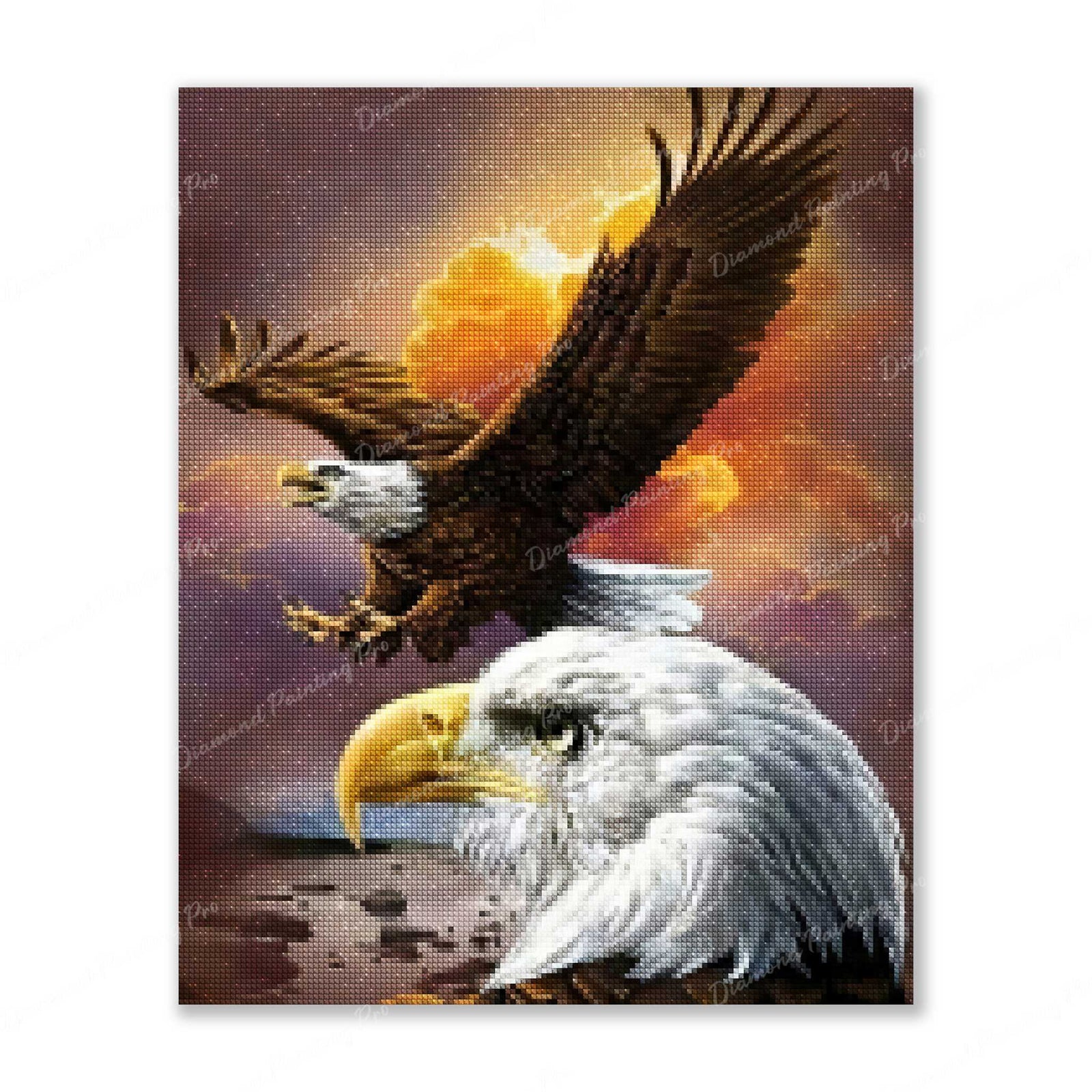 American Flying Eagle Finished Diamond Painting For Sale From Diamond Painting Pro