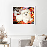 Oscar the Dog Finished Diamond Painting Displayed with White Frame as Home Decor