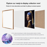 What is included in Girl with a Pearl Earring - Johannes Vermeer Finished Diamond Art Package