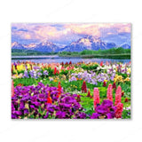 Picturesque Grand Teton Finished Diamond Painting For Sale From Diamond Painting Pro