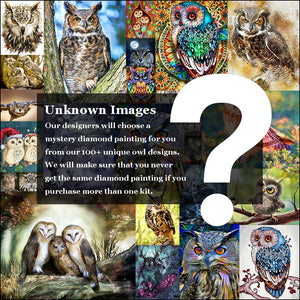 Owl Mystery Diamond Painting Kit