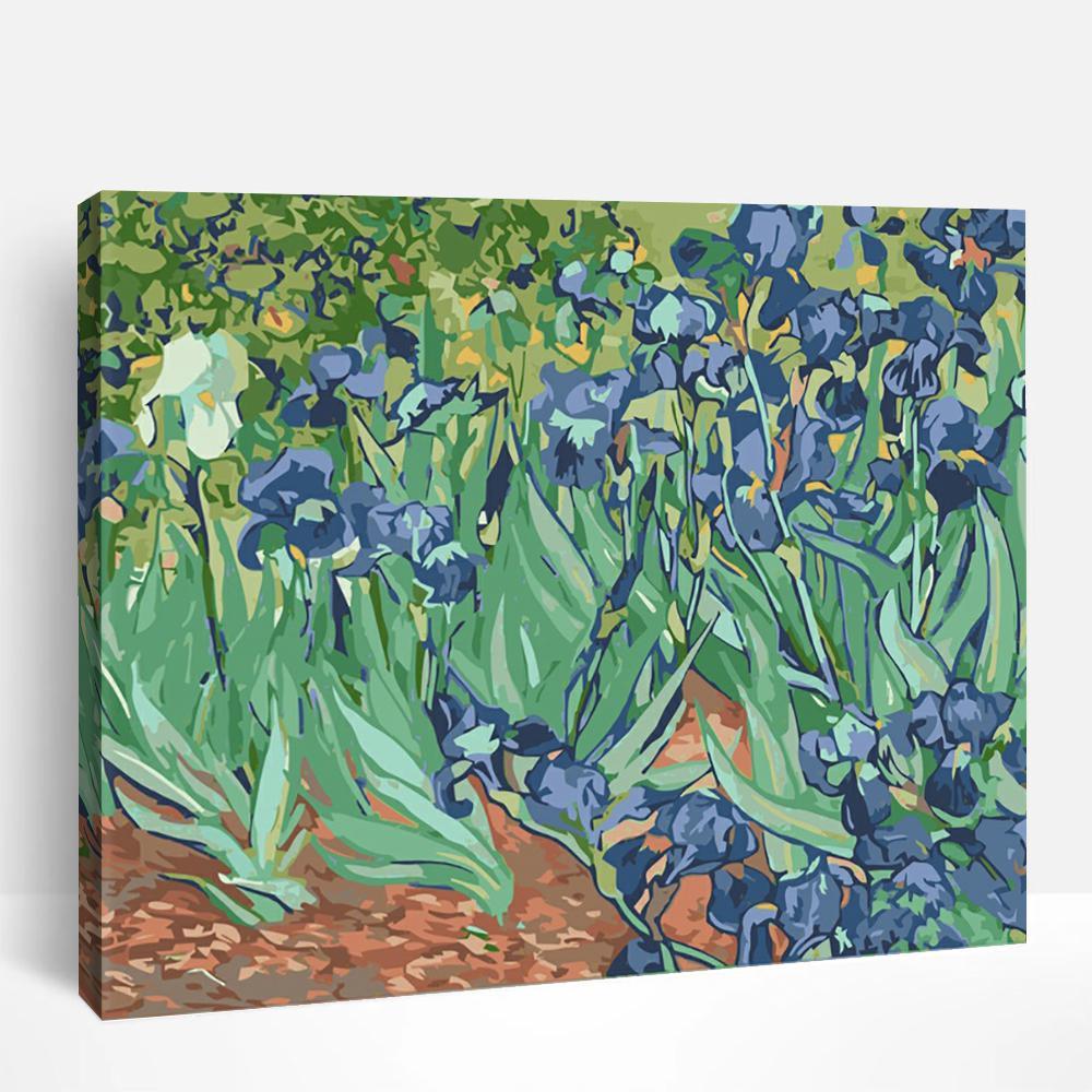 Irises | Paint By Numbers