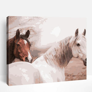 Horse Couple | Paint By Numbers