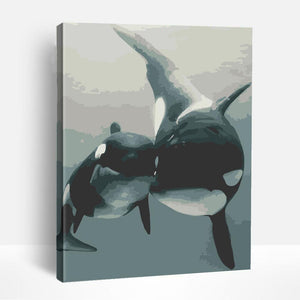 Killer Whale | Paint By Numbers