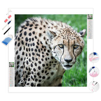 Cheetah | Diamond Painting