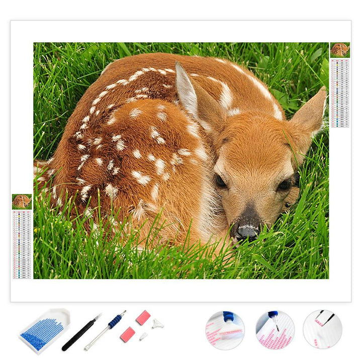 deer on grass field | Diamond Painting