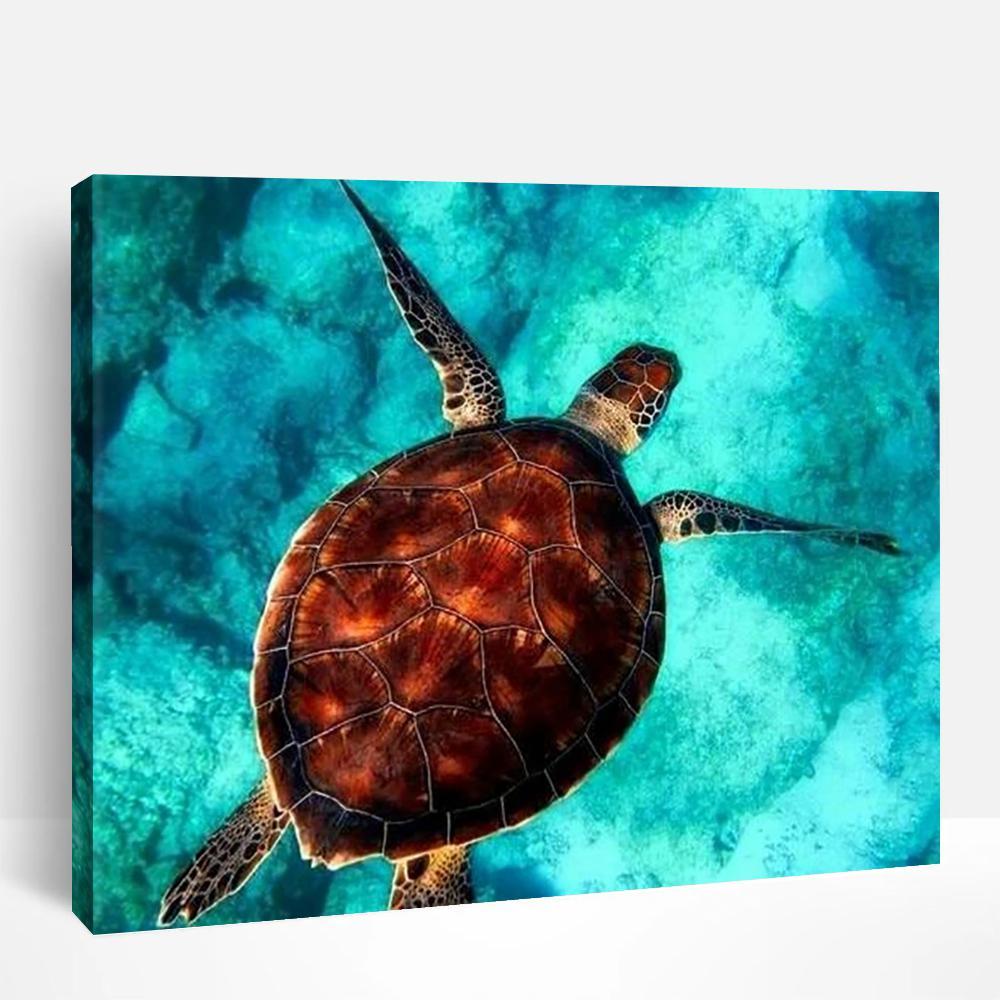 Sea Turtle | Paint By Numbers