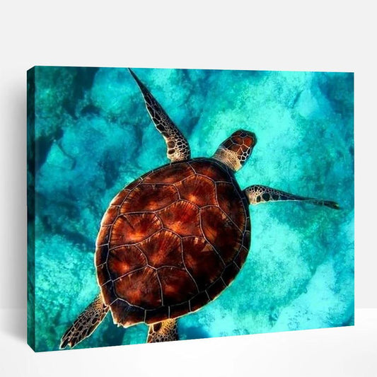 Sea Turtle | Paint By Numbers