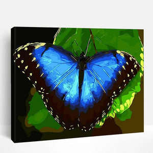 Blue Monarch Butterfly | Paint By Numbers