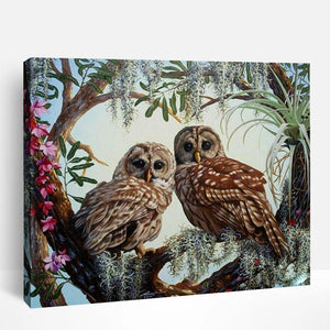 Forest Owls | Paint By Numbers