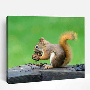 Squirrel and Nut | Paint By Numbers