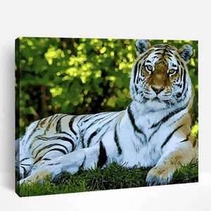 Resting Tiger | Paint By Numbers