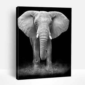 Grey Elephant | Paint By Numbers