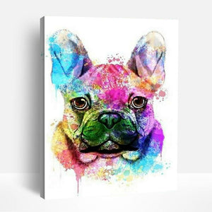 Colorful Splash Pug | Paint By Numbers