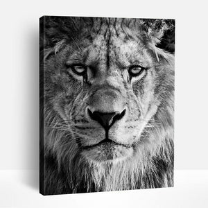 Lion in Black and White | Paint By Numbers