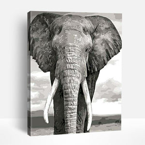 Black and White Elephant | Paint By Numbers