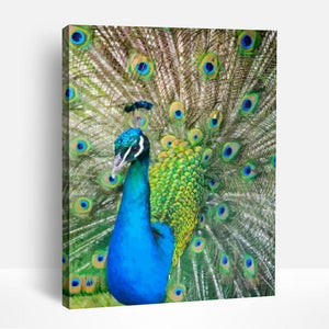 Peacock Vividness | Paint By Numbers