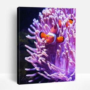 Clown Fish and Corals | Paint By Numbers