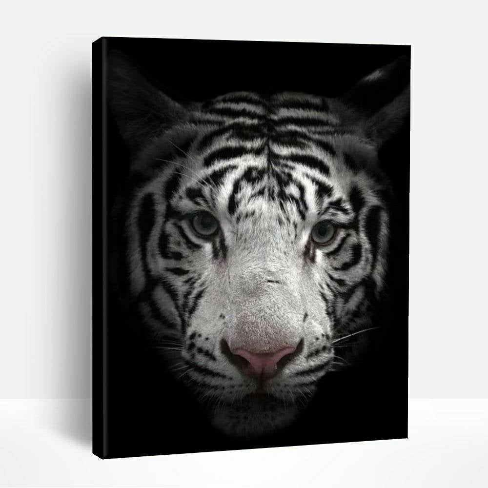 Black and White Bengal Tiger | Paint By Numbers