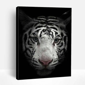 Black and White Bengal Tiger | Paint By Numbers