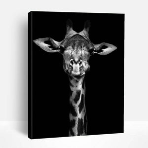 Black and White Giraffe | Paint By Numbers